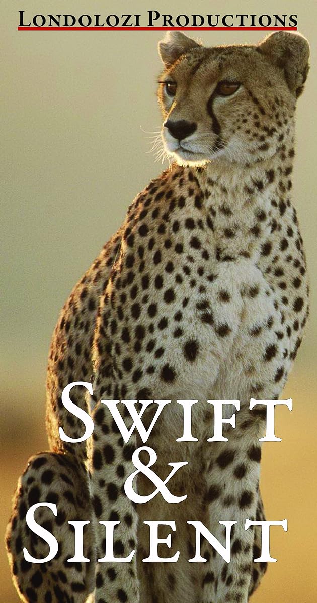 Swift and Silent