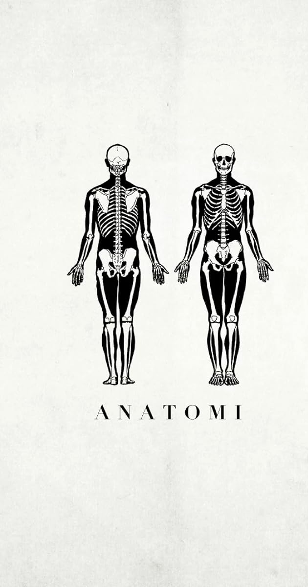 Anatomi