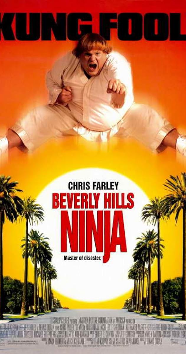 Beverly Hills Ninjası