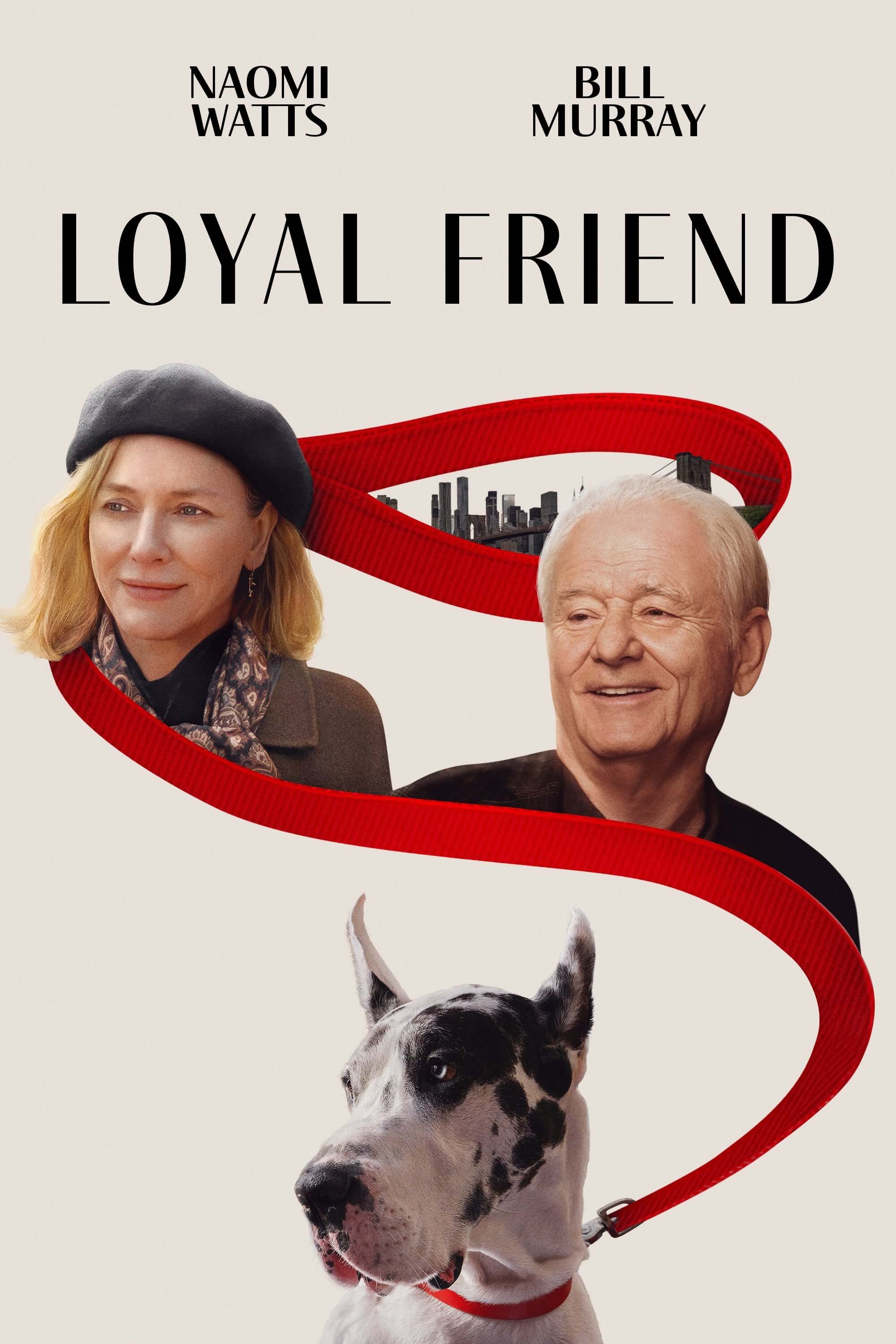 The Friend