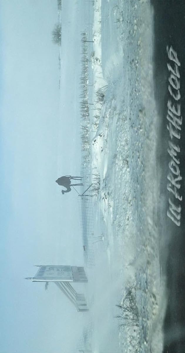 Camel: In From the Cold