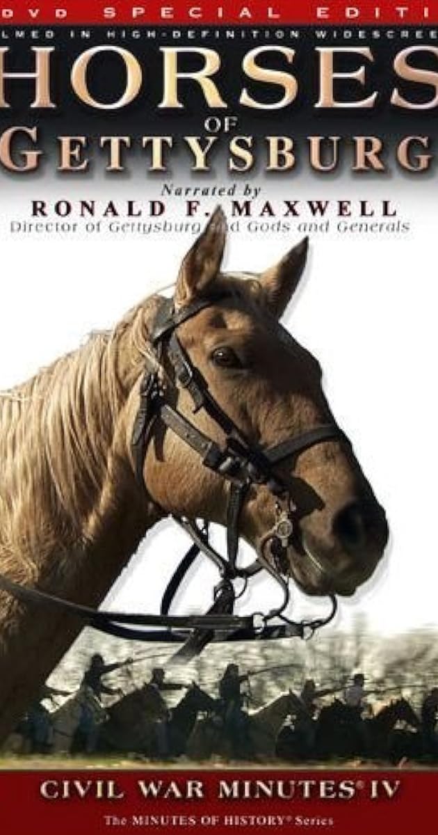 Horses of Gettysburg