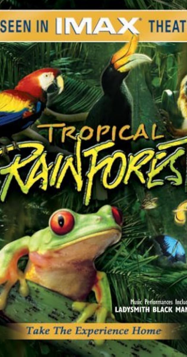 Tropical Rainforest