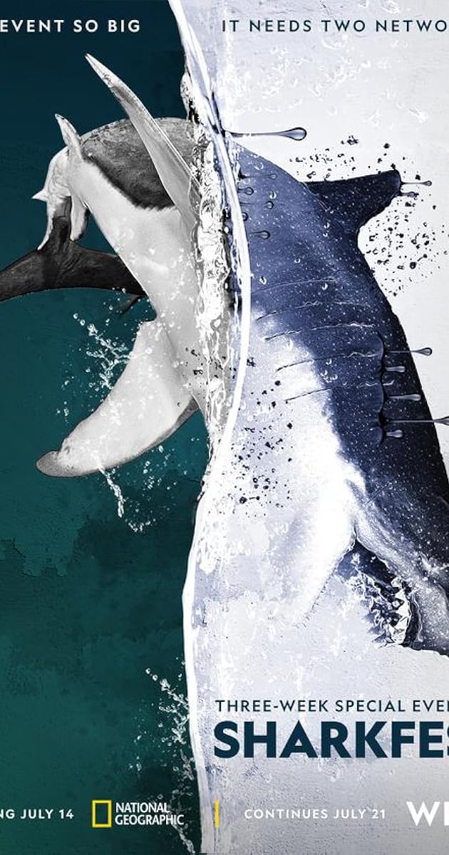 Man vs. Shark