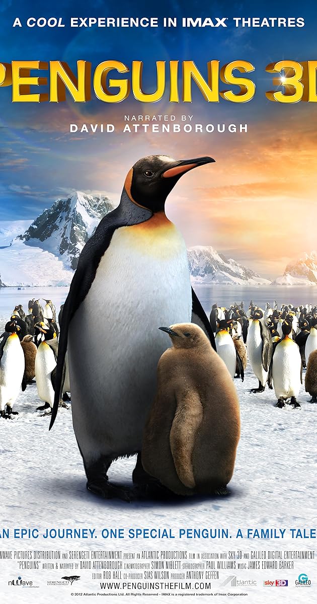 Penguen Kral