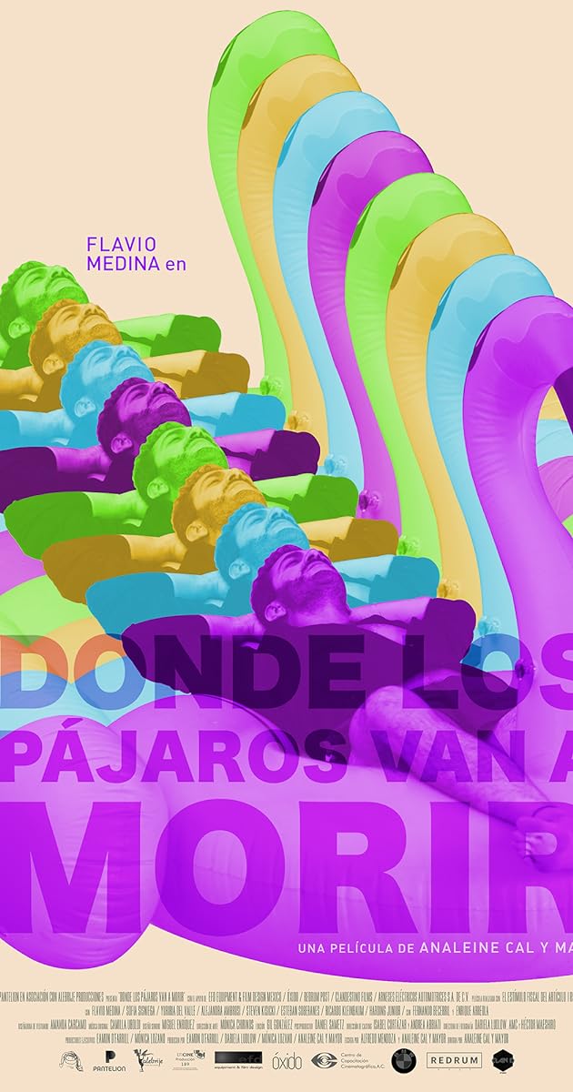 Donde los pájaros van a morir
