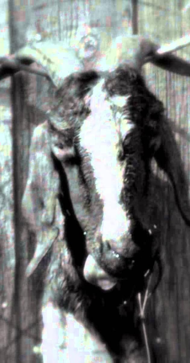 Slipknot: Goat