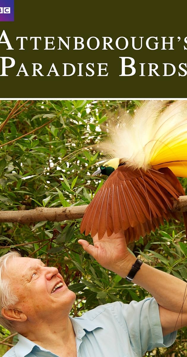 Attenborough's Paradise Birds