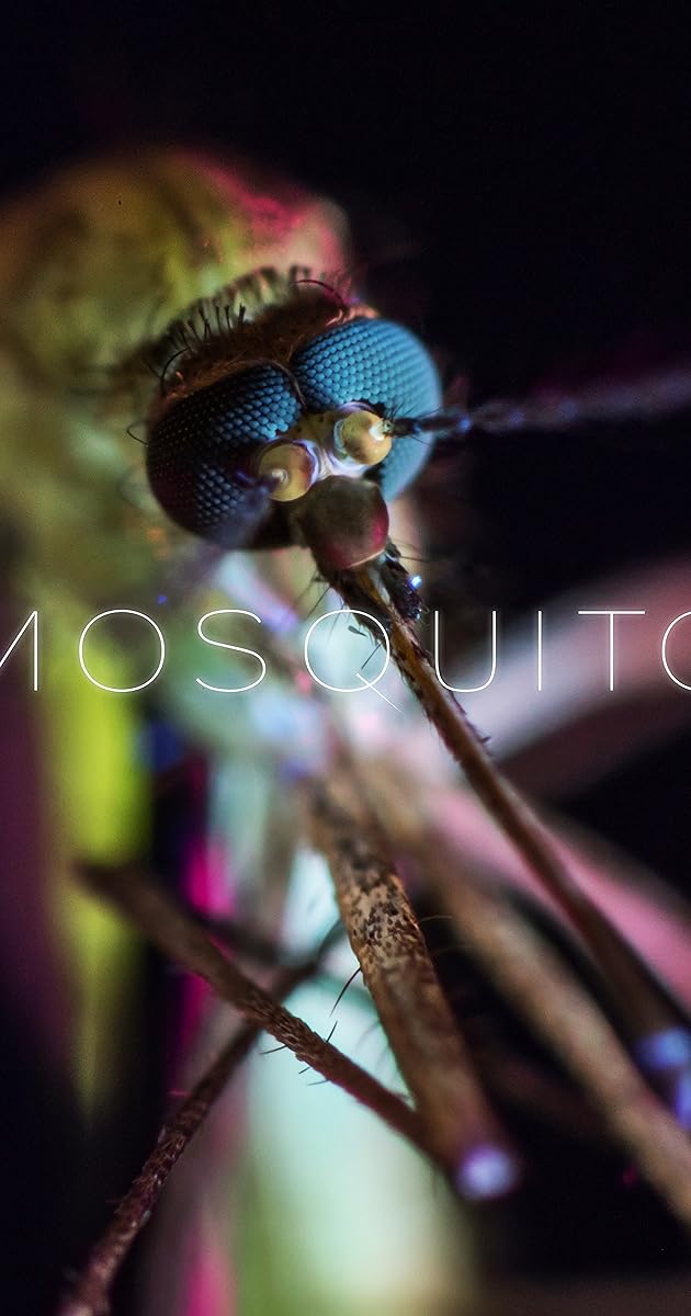 Mosquito
