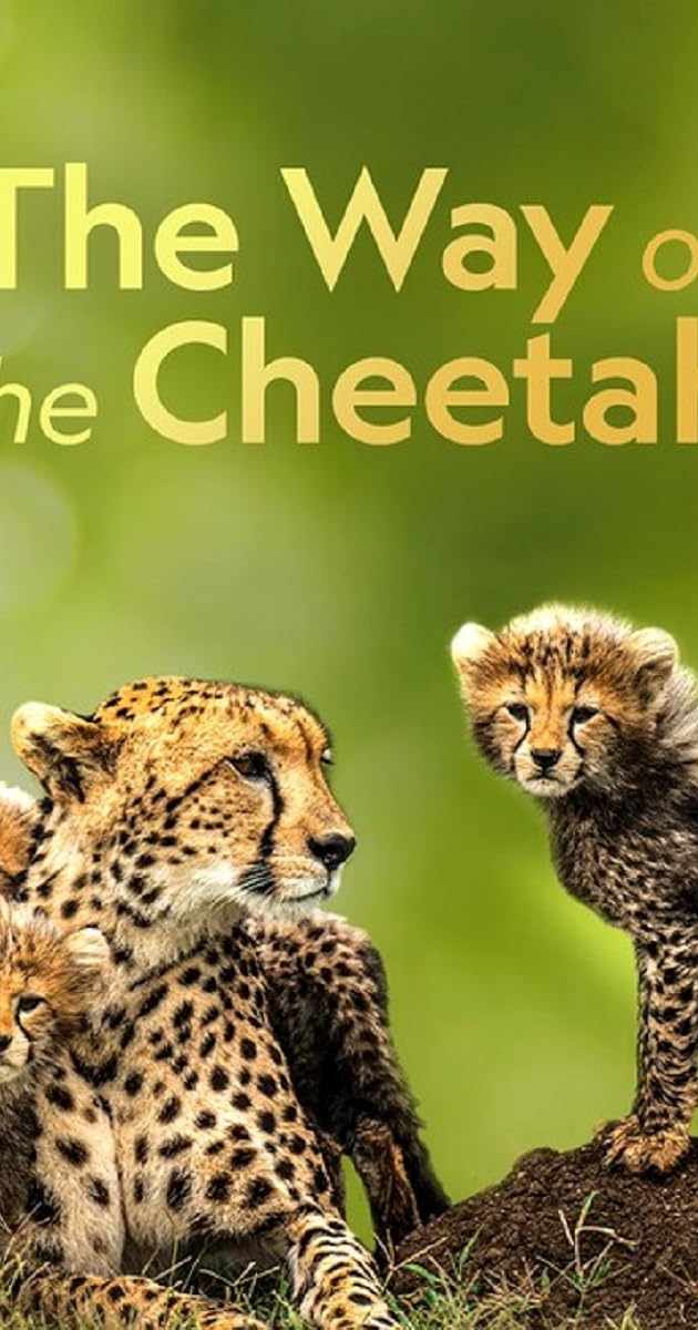 The Way of the Cheetah