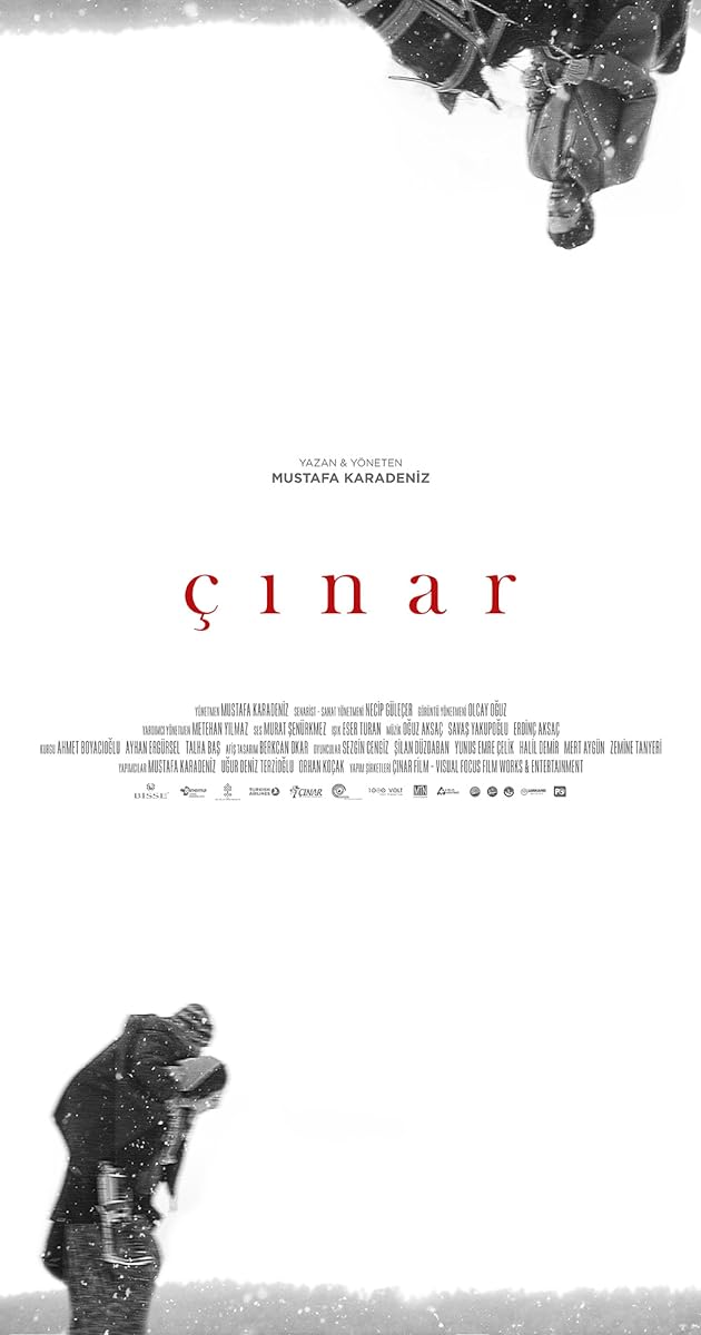 Çınar