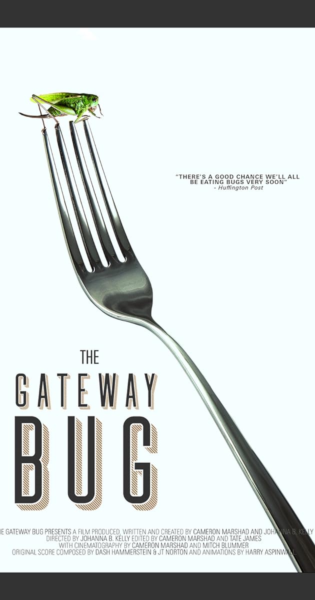 The Gateway Bug