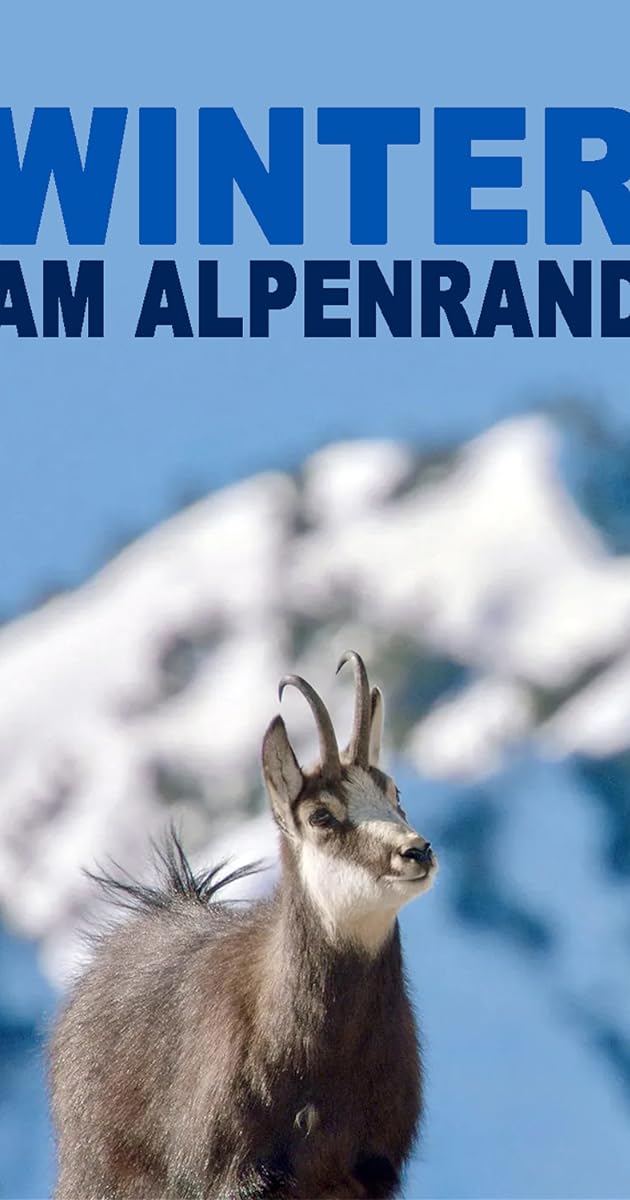 Winter am Alpenrand