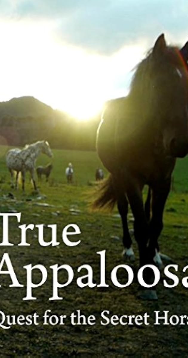 True Appaloosa