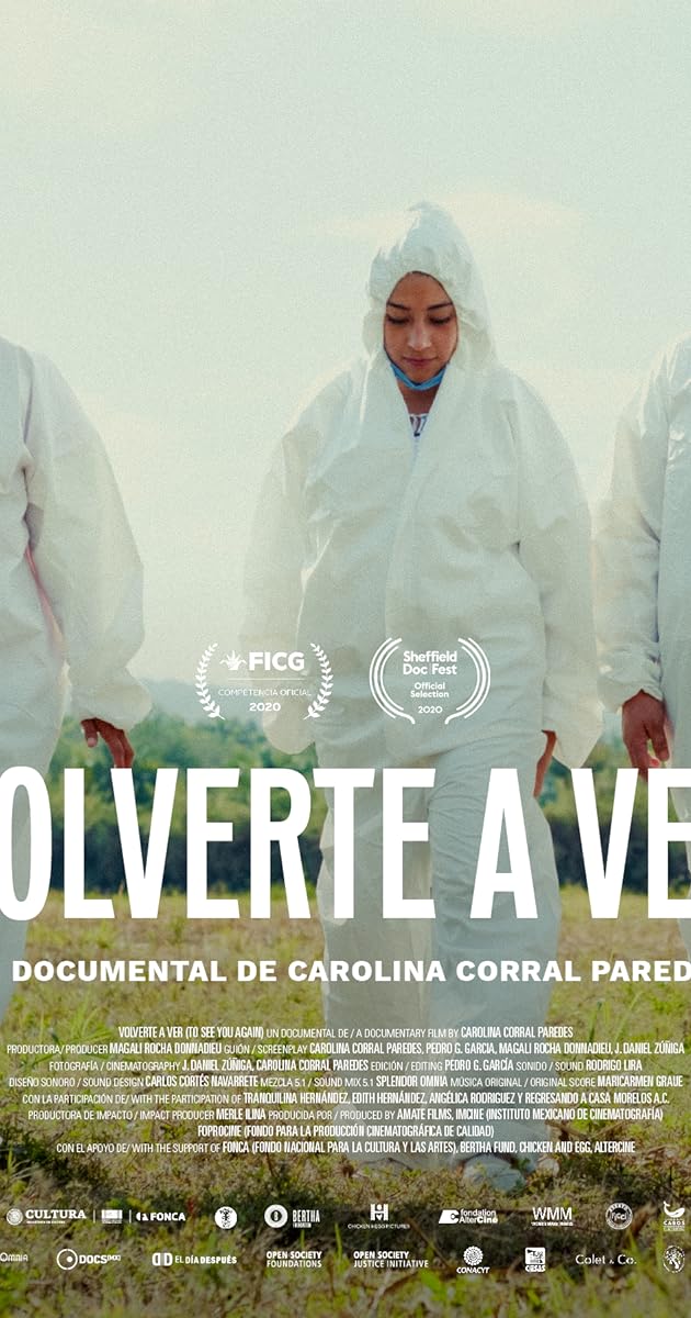 Volverte a ver