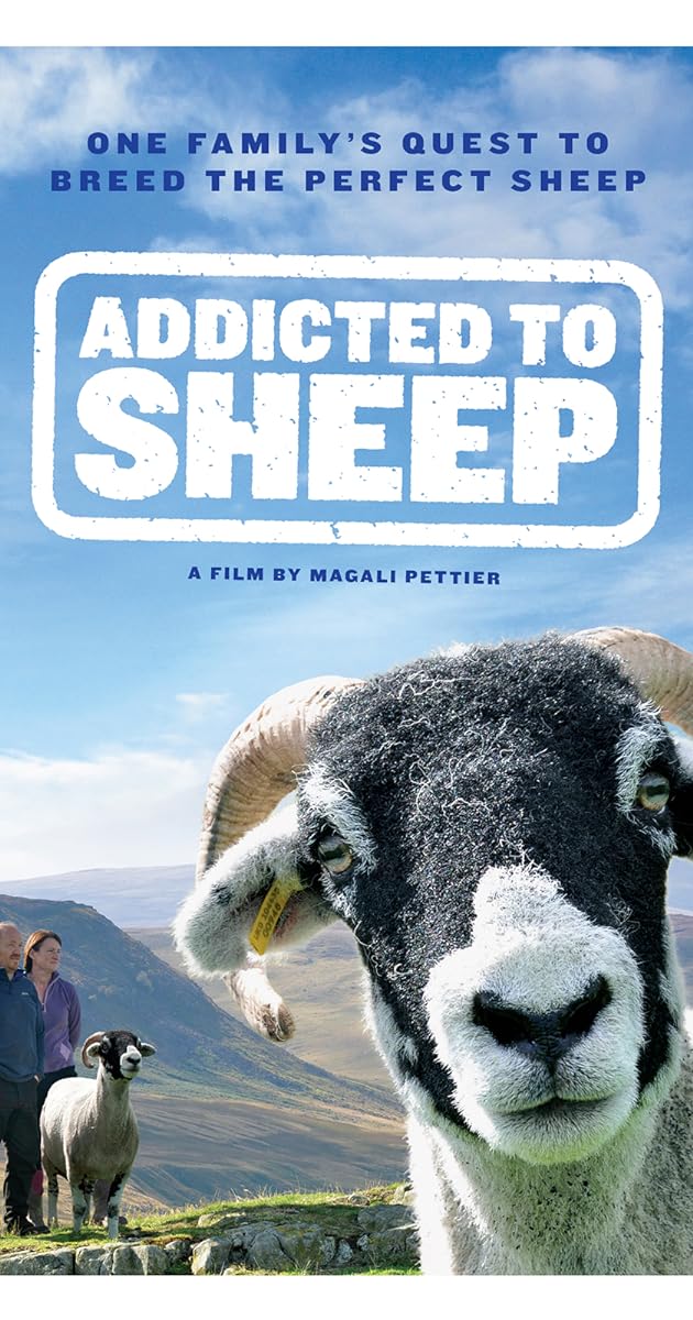 Addicted to Sheep