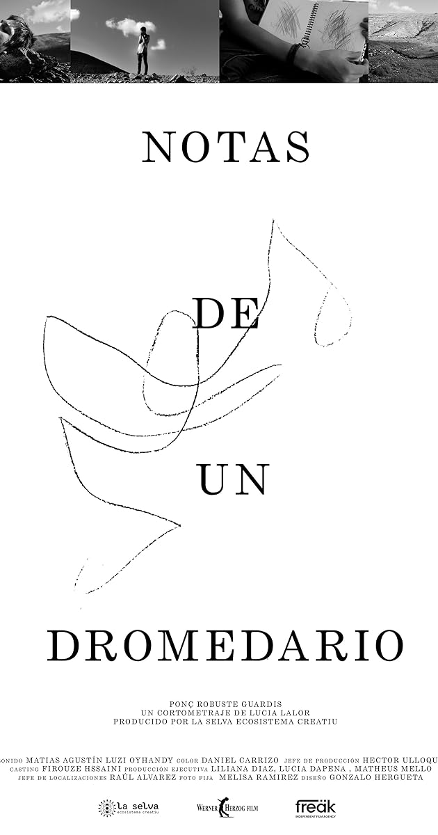 Notas de un Dromedario