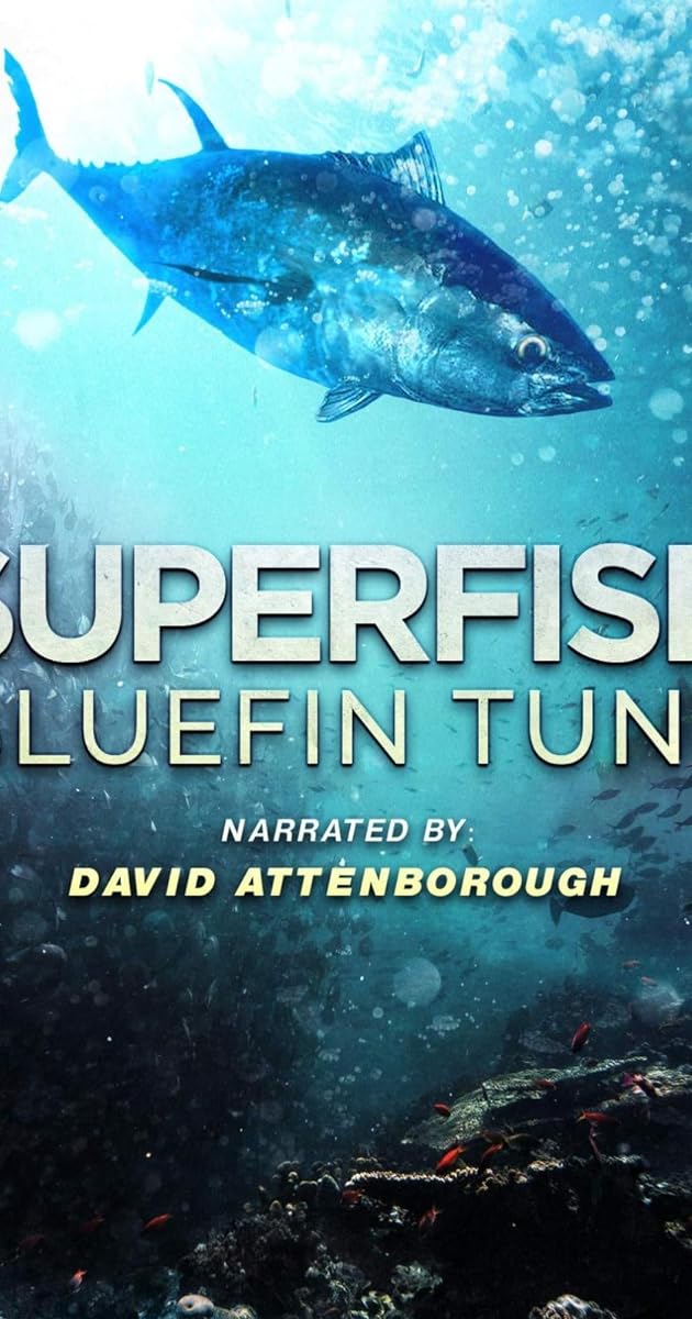 Superfish: Bluefin Tuna
