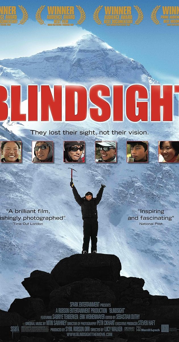 Blindsight - Vertraue Deiner Vision
