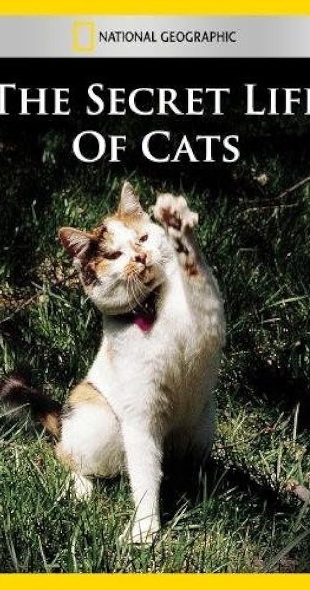 The Secret Life of Cats