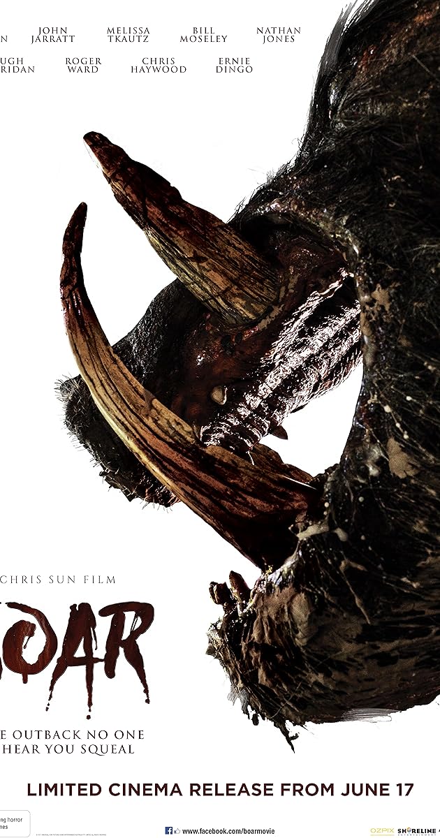 Boar