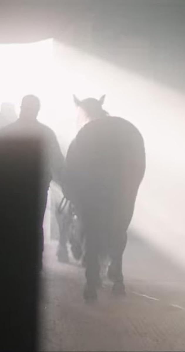 Bad Sport: Horse Hitman