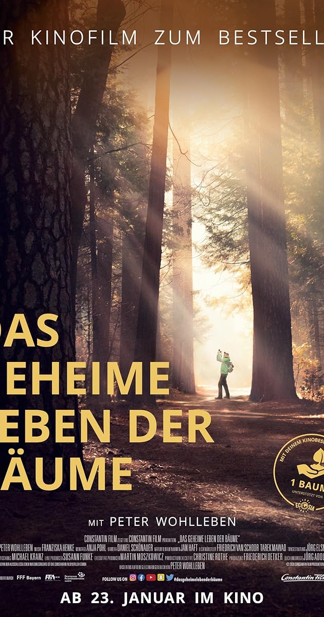Das geheime Leben der Bäume